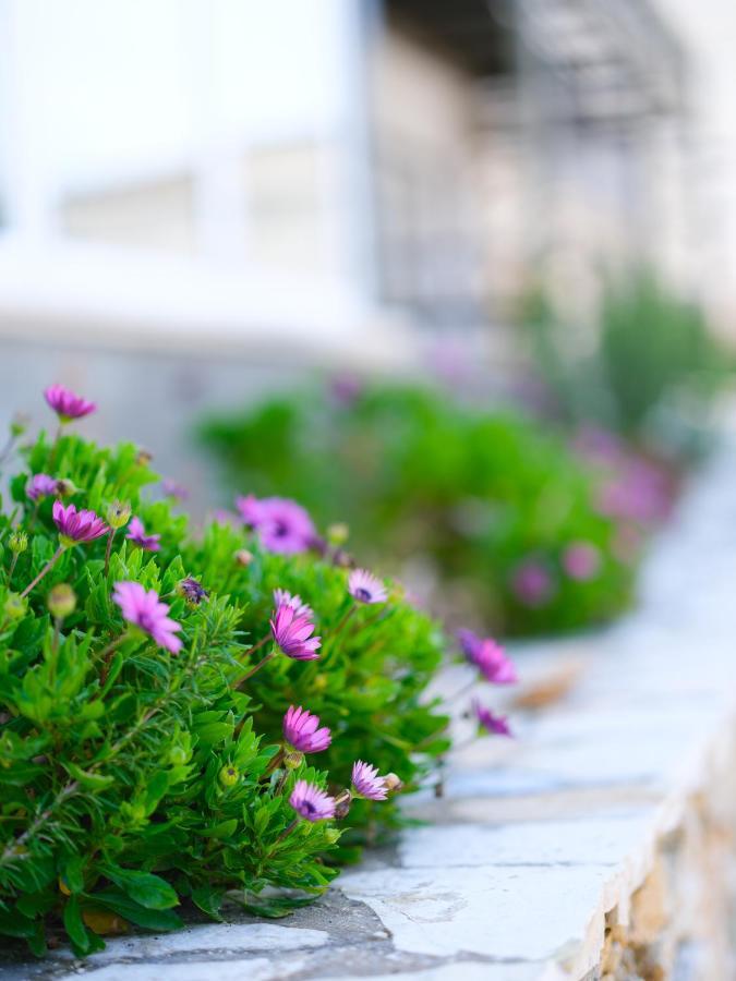 Sunset House Apartment Vlore Bagian luar foto